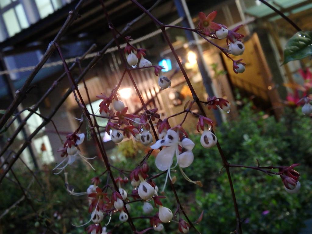 Tainan Guest House Hamuya Zewnętrze zdjęcie